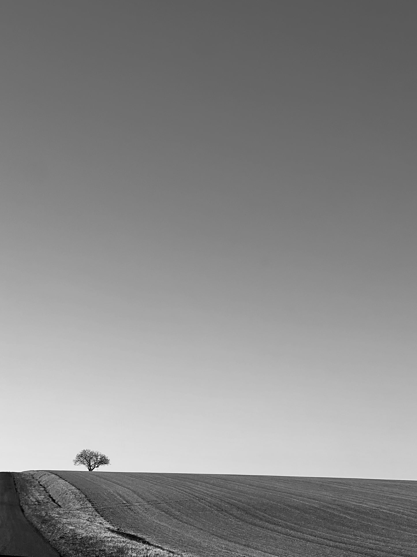 Le minima