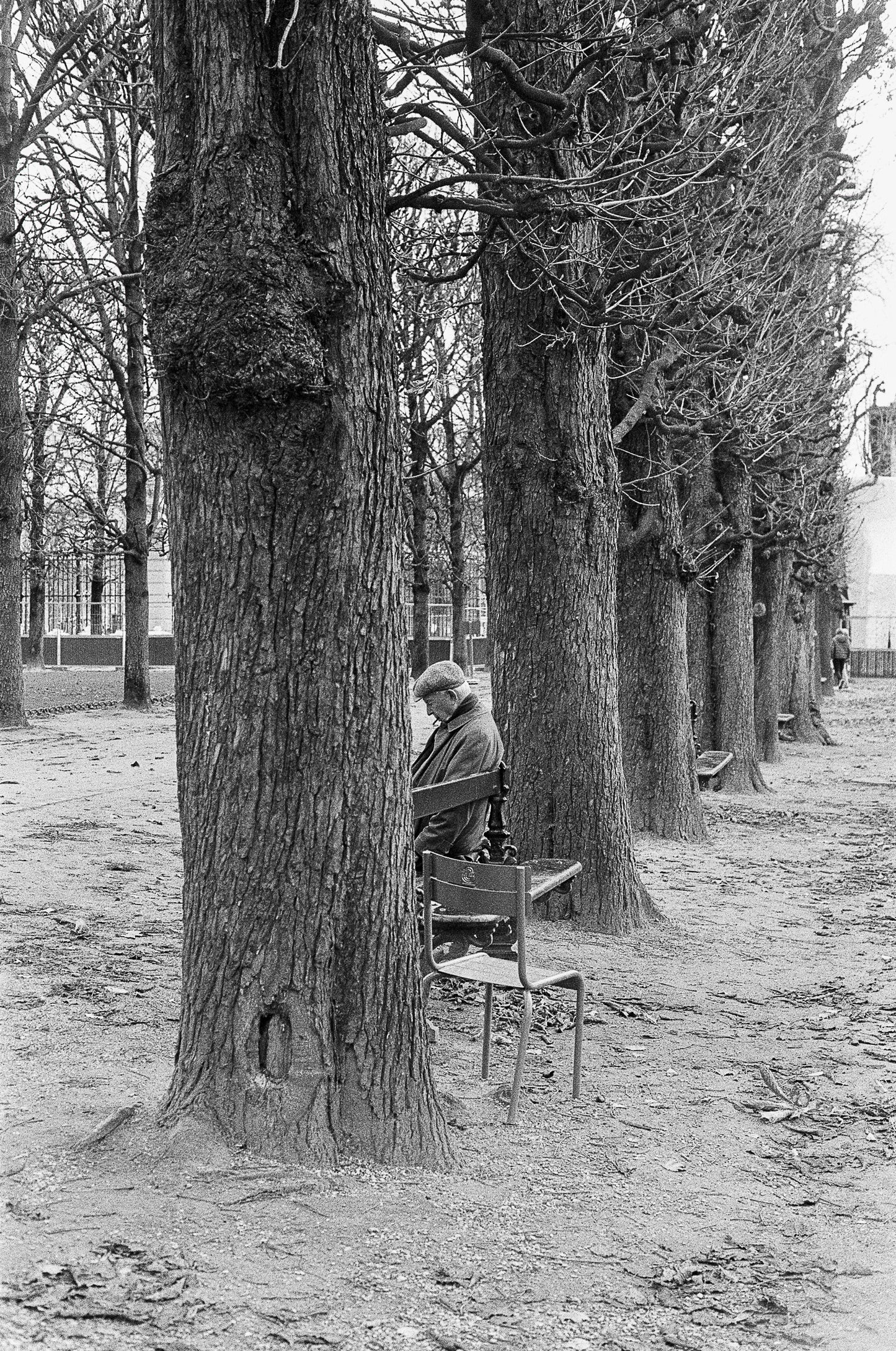 Hommage à Jacques prévert
